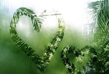 天涯社区十大神贴合集：重温网络文化黄金时代